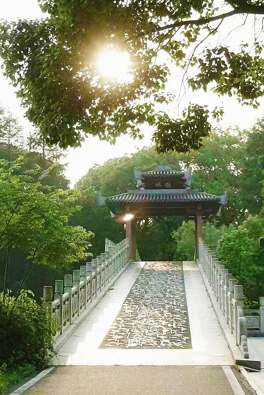 鹊桥.jpg
